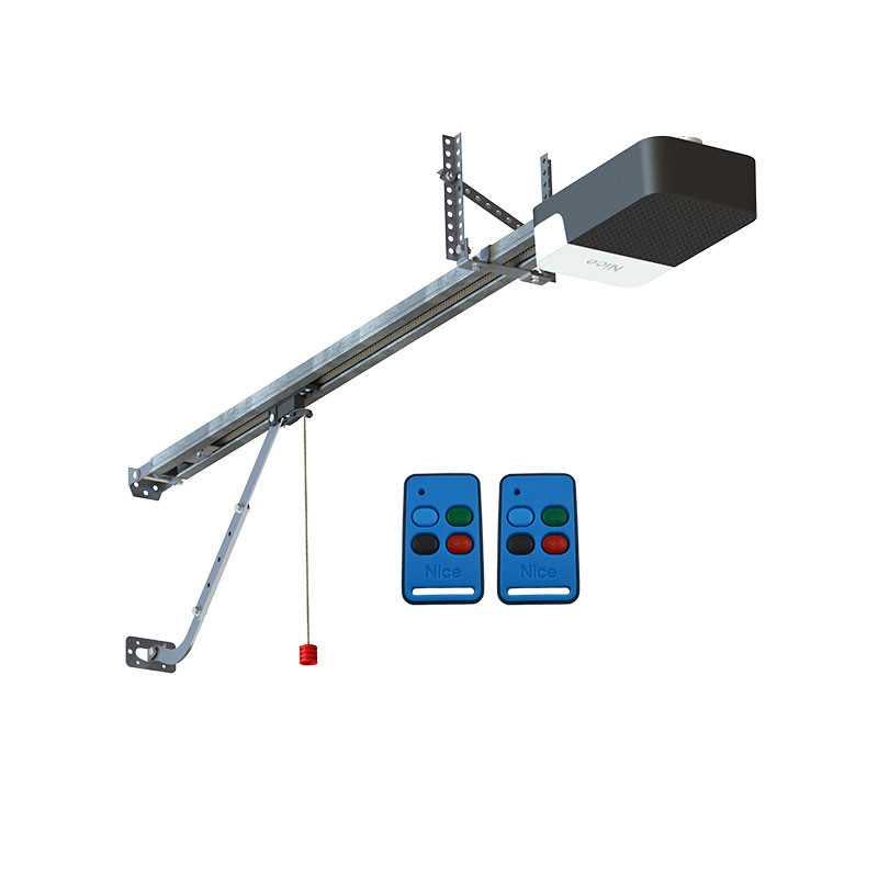 Astute Garage Door Motor